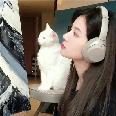 人皮脸
